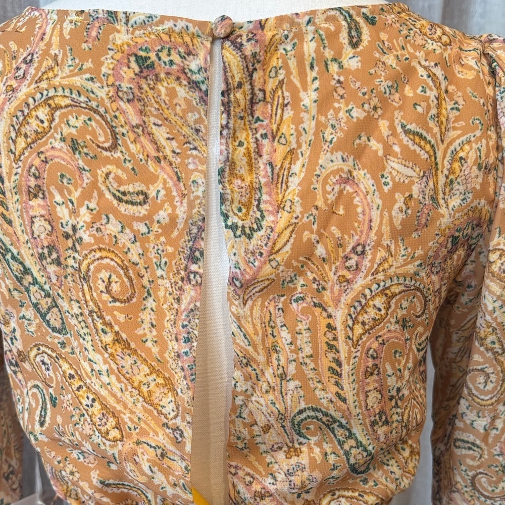 NWT Rose & Velvet Mustard Paisley Dress - Size S - Picture 8 of 16